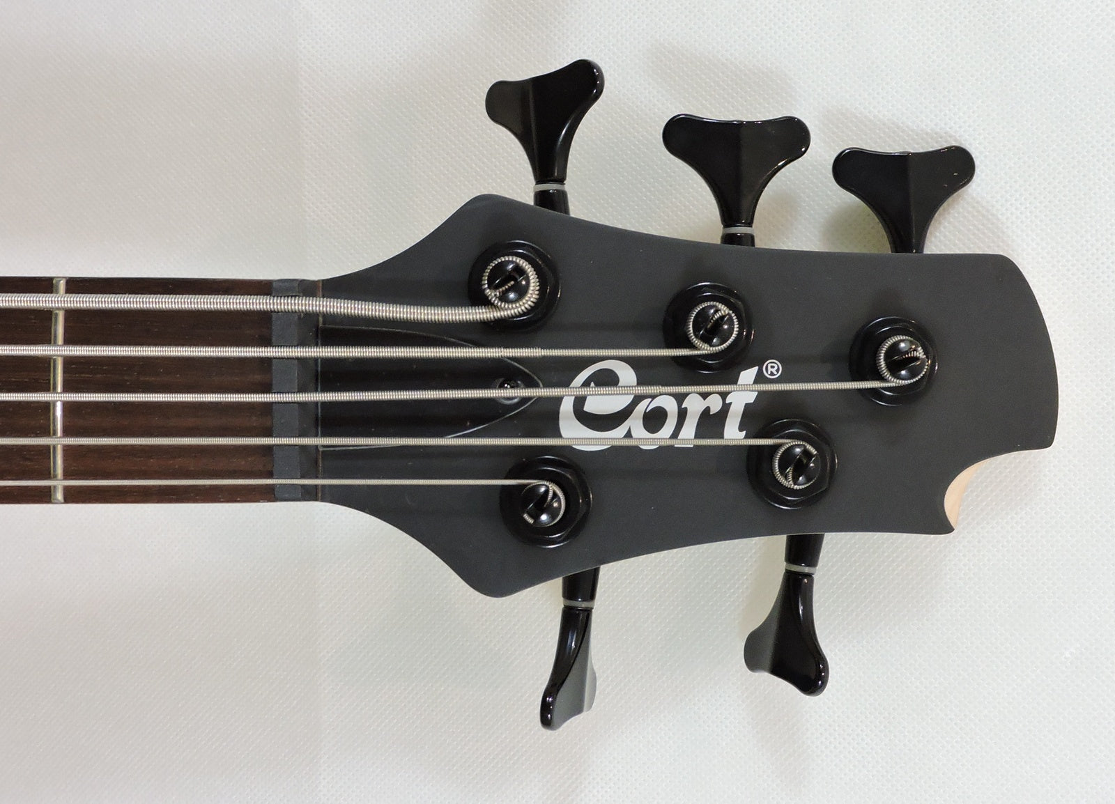 Cort Action DLX V 5-String Bass, Natural