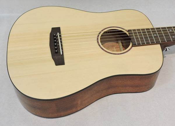 Cort Earth Mini