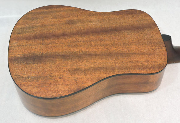 Cort Earth Mini