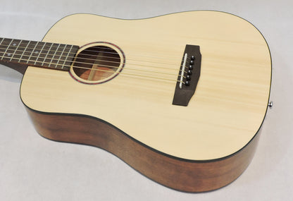 Cort Earth Mini