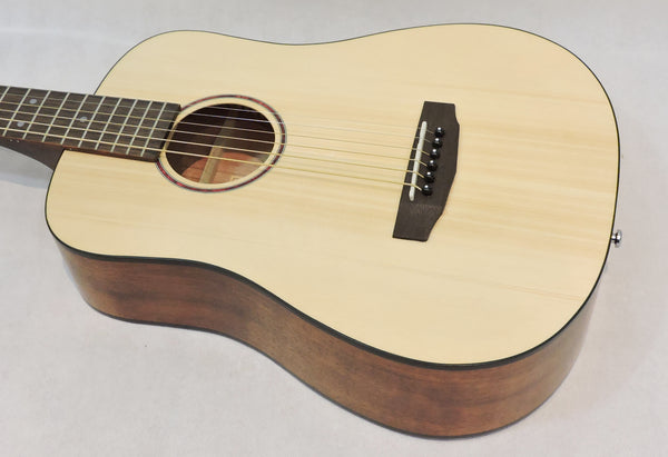 Cort Earth Mini