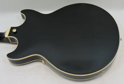 Ibanez AM73G Black