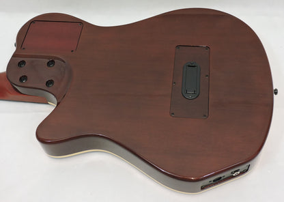 Godin Multiac Grand Concert SA with Roland GR55 Guitar Synth - Used