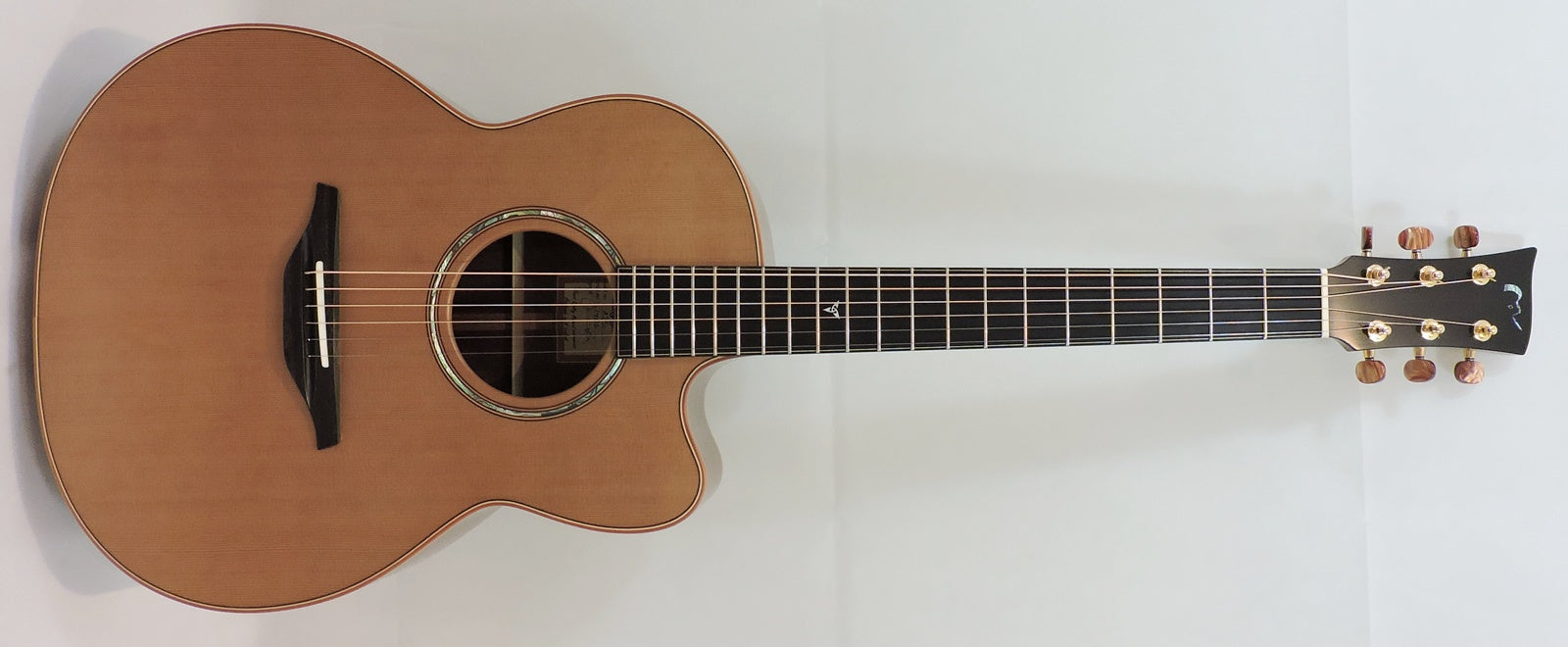 McIlroy A25c Hand Made Acoustic