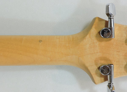 PRS CE Custom 24 - Used