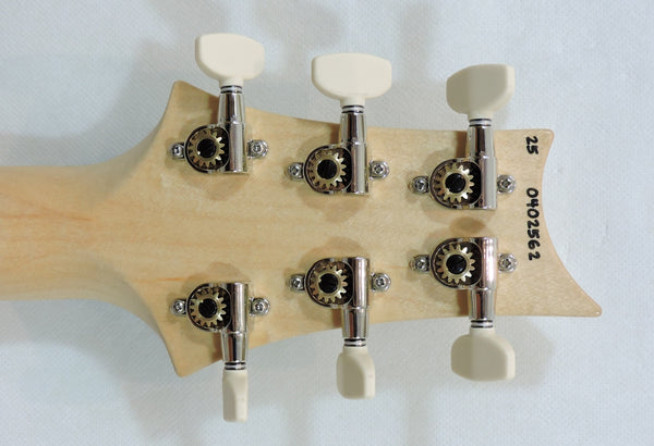 PRS 2025 Swamp Ash Special Maple, Black Doghair Smokeburst