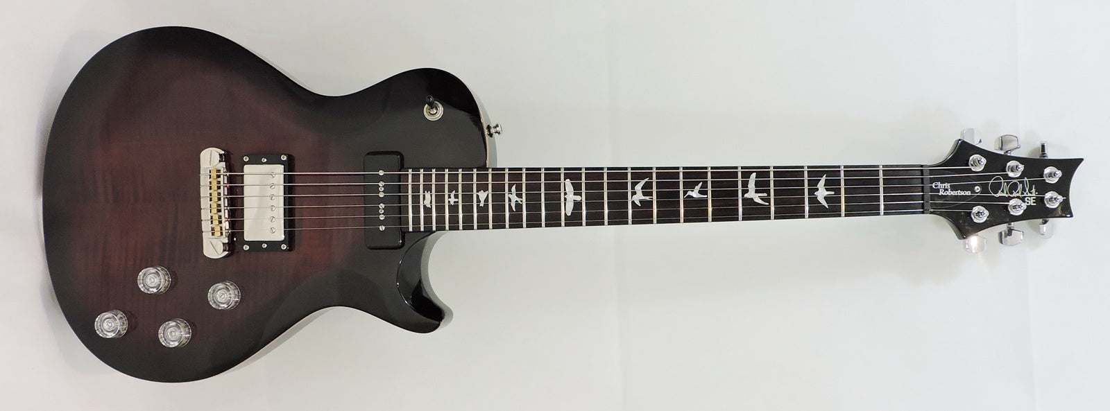 PRS SE Chris Robertson - Used