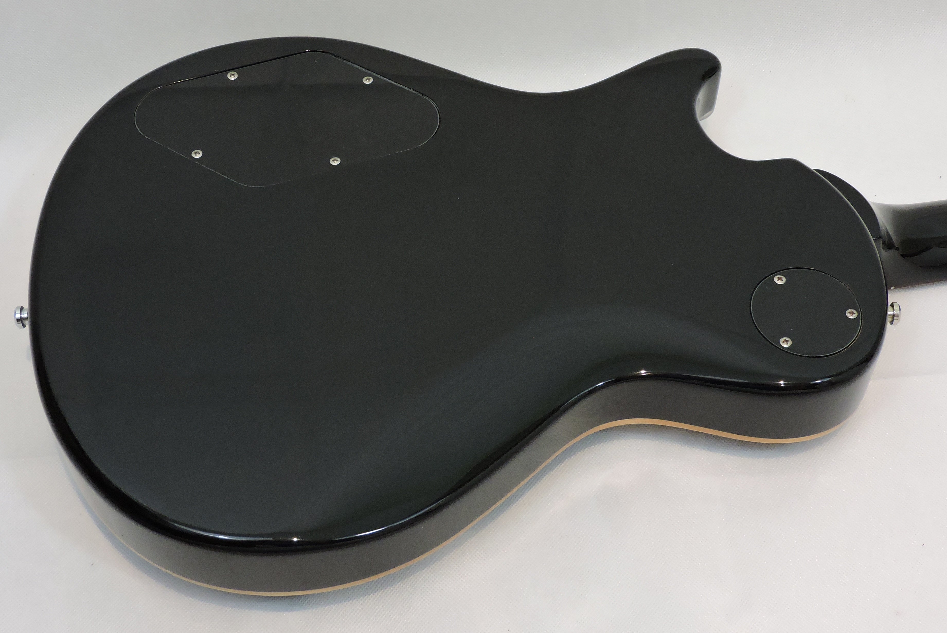 PRS SE Chris Robertson - Used