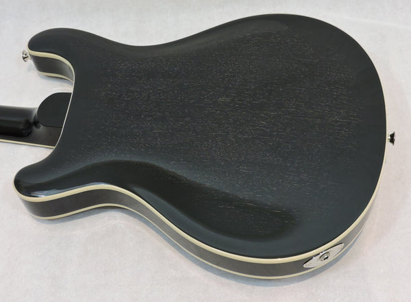 PRS SE Hollowbody Standard. Dog Hair