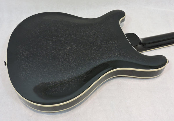 PRS SE Hollowbody Standard. Dog Hair