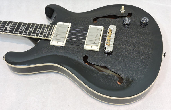 PRS SE Hollowbody Standard. Dog Hair