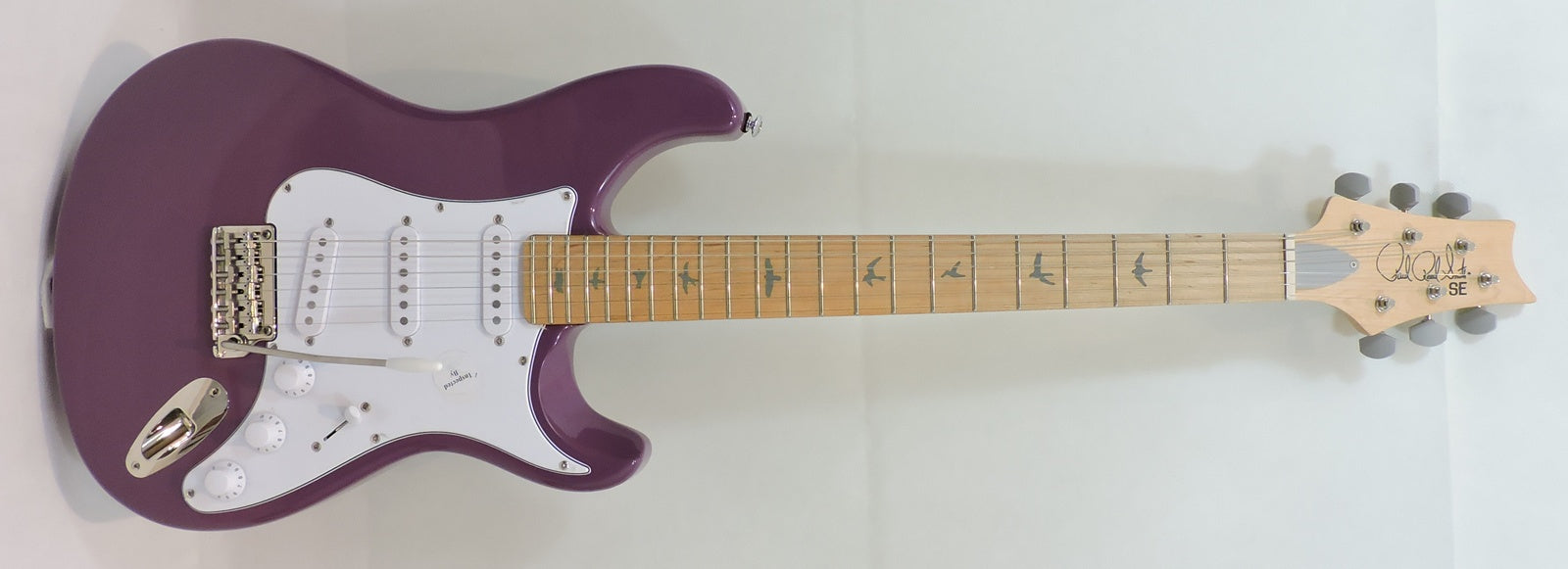 PRS SE Silver Sky Dragon Fruit - Used