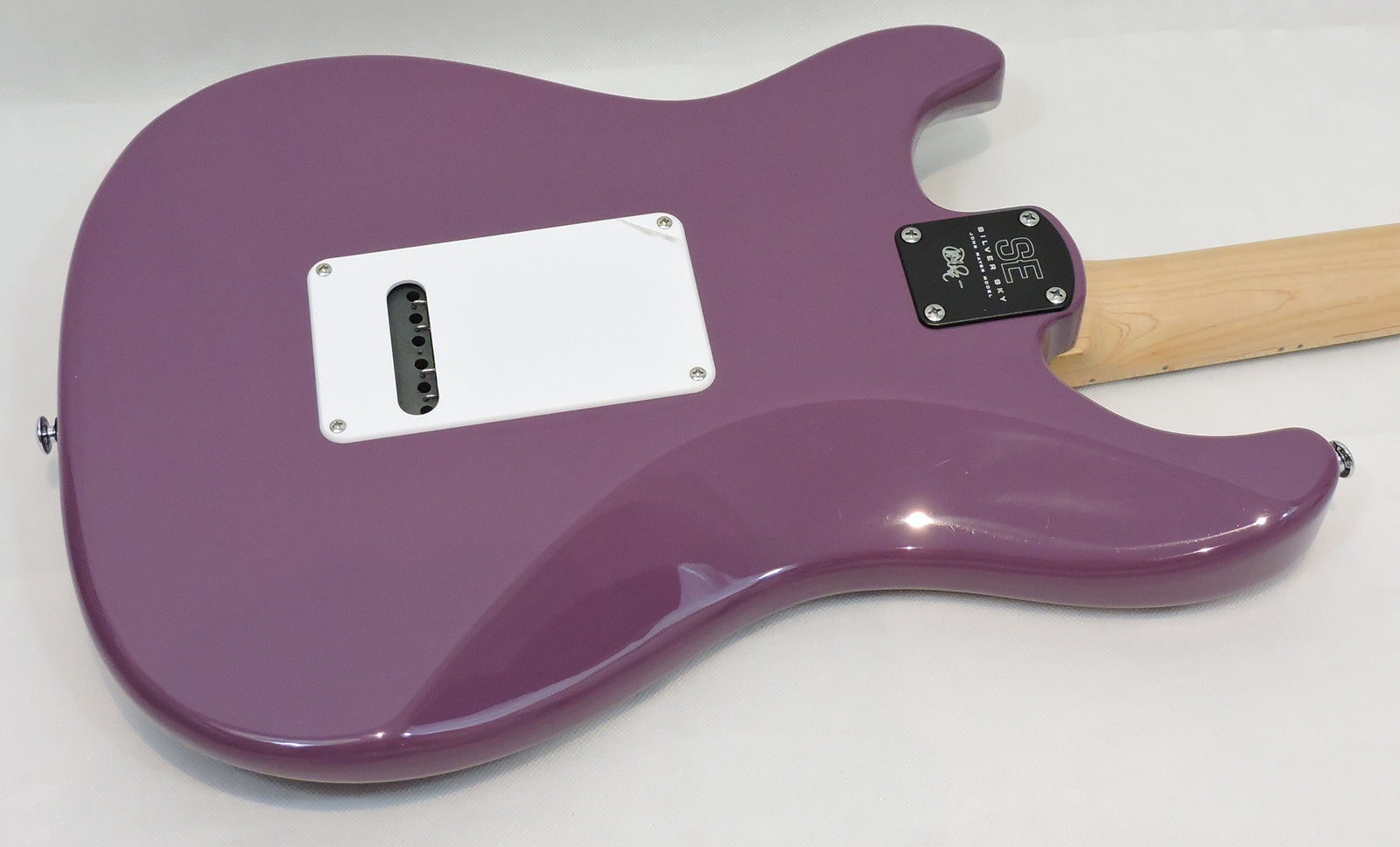 PRS SE Silver Sky Dragon Fruit - Used