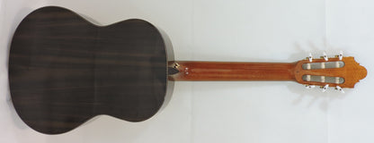 Santos Martinez Raymond Burley Signature Classic Guitar with Deluxe Guitar Bag. Ex-Demo
