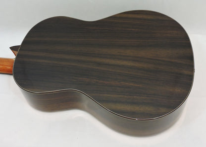 Santos Martinez Raymond Burley Signature Classic Guitar with Deluxe Guitar Bag. Ex-Demo