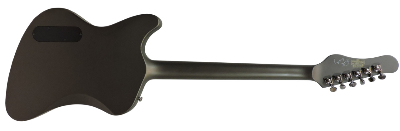 Schecter Paul Wiley Noir - Used