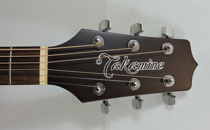 Takamine GD21CE. Satin Molasses