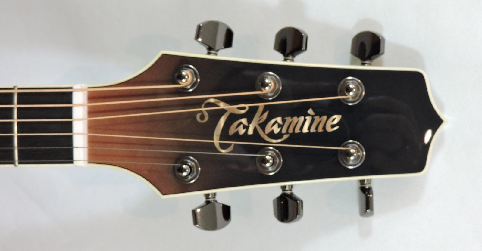 Takamine LTD24