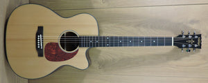 Vintage VEC300N