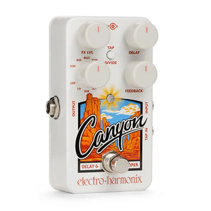 Electro Harmonix Canyon Delay and Looper