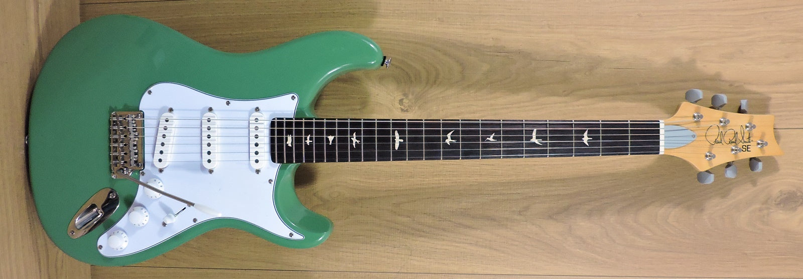 PRS SE Silver Sky Ever Green