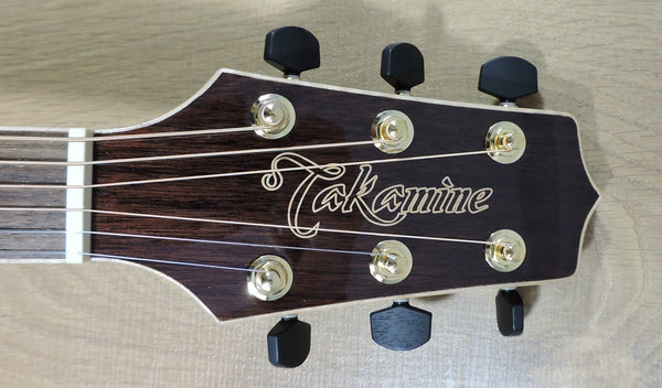 Takamine GD93CE