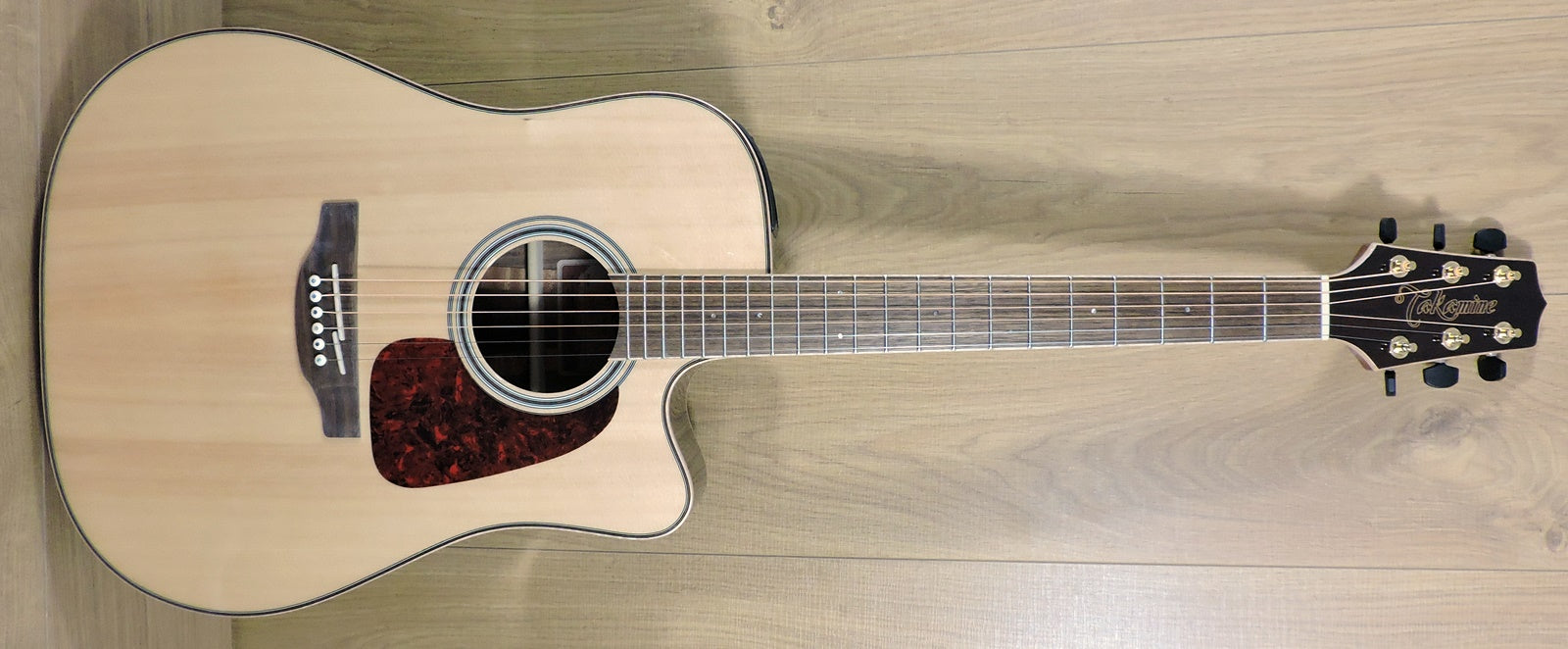 Takamine GD93CE