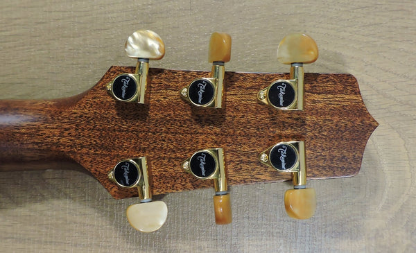 Takamine P3MC