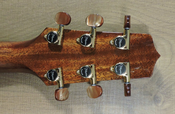 Takamine TSF40C