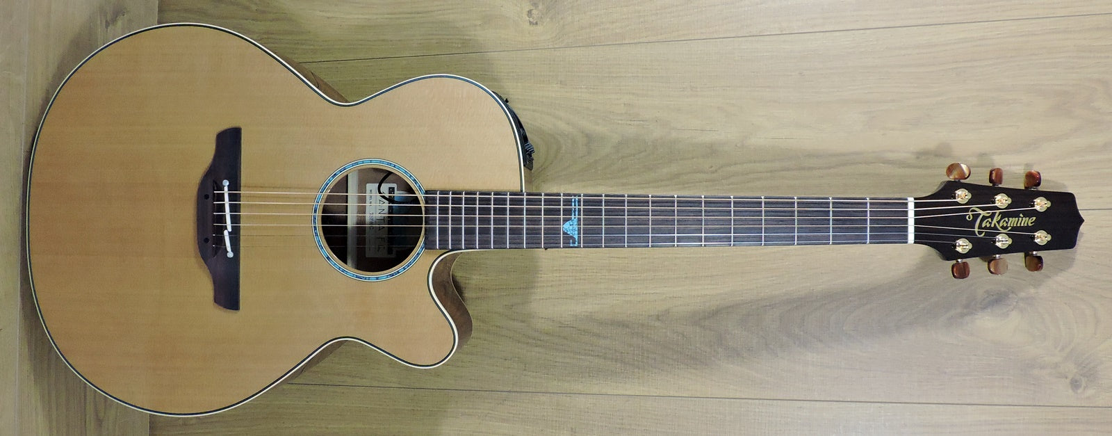 Takamine TSF40C