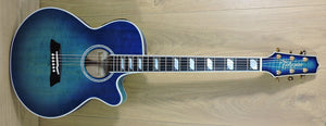 Takamine TSP178AC SBB