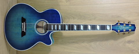 Takamine TSP178AC SBB