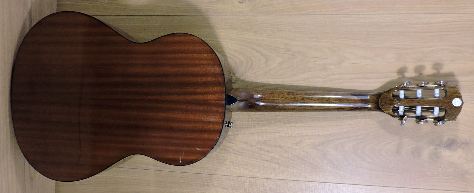 Fender CN-60S