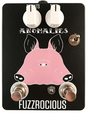 Fuzzrocious Anomalies Delay Pedal